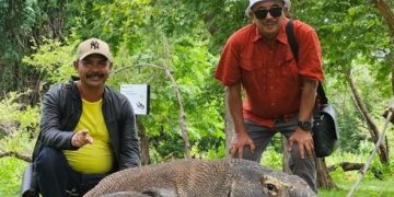 Legenda Orah dan Komodo