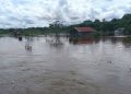 Lahan Pertanian Padi dan Lombok Warga Jengan Danum  Kubar Ludes di Telan Banjir