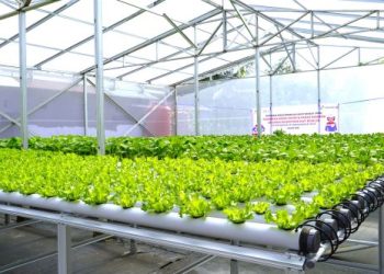 PT Pertamina EP Sangasanga Field Fasilitasi Pendirian Green House Hidroponik