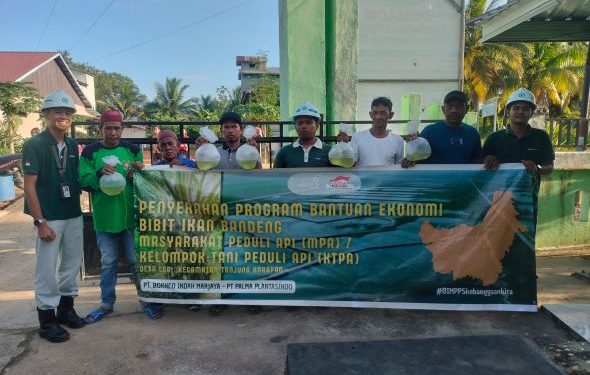 PT BIM-PPS Salurkan 43.750 Bibit Bandeng untuk Perkuat Ekonomi Anggota KTPA Desa Lori