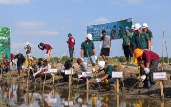PT BIM dan PPS Tanam Mangrove di Pesisir Desa Lori