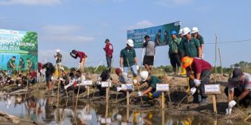 PT BIM dan PPS Tanam Mangrove di Pesisir Desa Lori