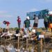 PT BIM dan PPS Tanam Mangrove di Pesisir Desa Lori