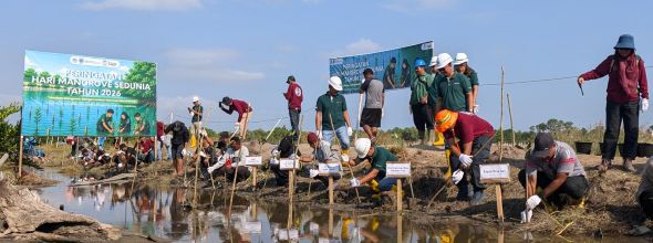 PT BIM dan PPS Tanam Mangrove di Pesisir Desa Lori