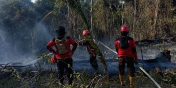 Karhutla Melanda Paser, PT BIM-PPS Bergerak Cegah Api Meluas
