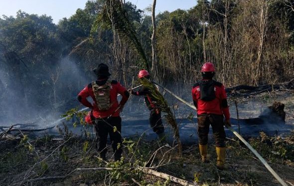 Karhutla Melanda Paser, PT BIM-PPS Bergerak Cegah Api Meluas
